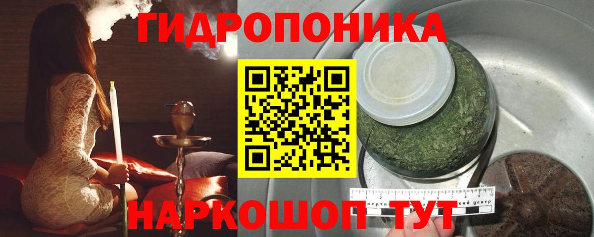 Марихуана OG Kush Ачхой-Мартан